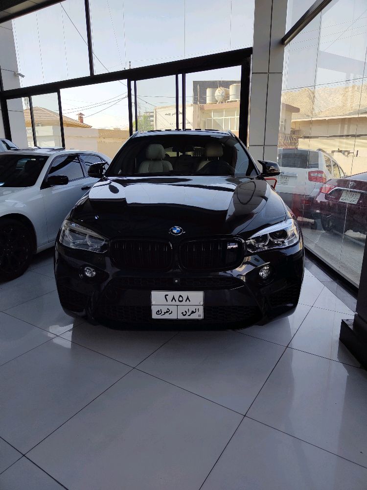 bmw 2015 x6